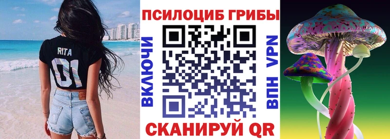 это как зайти  Сосновоборск  Псилоцибиновые грибы Psilocybe 